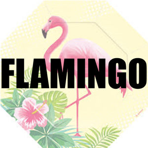 Flamingo balloons and party supplies | PartyMonster.ae | Dubai