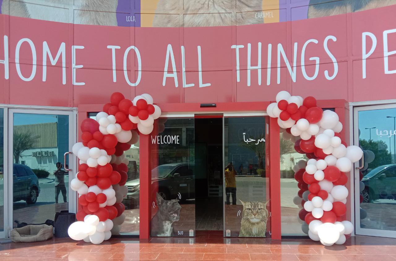 thick organic balloon arch