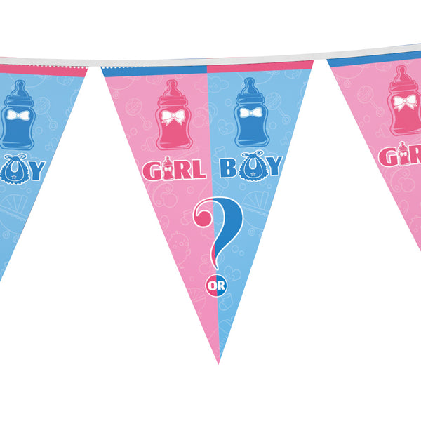 Flag banner gender reveal theme for sale online in Dubai
