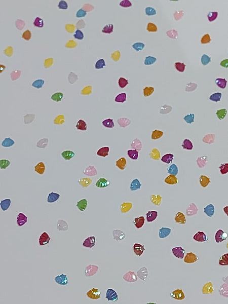 colourful sea shells confetti for sale online in Dubai